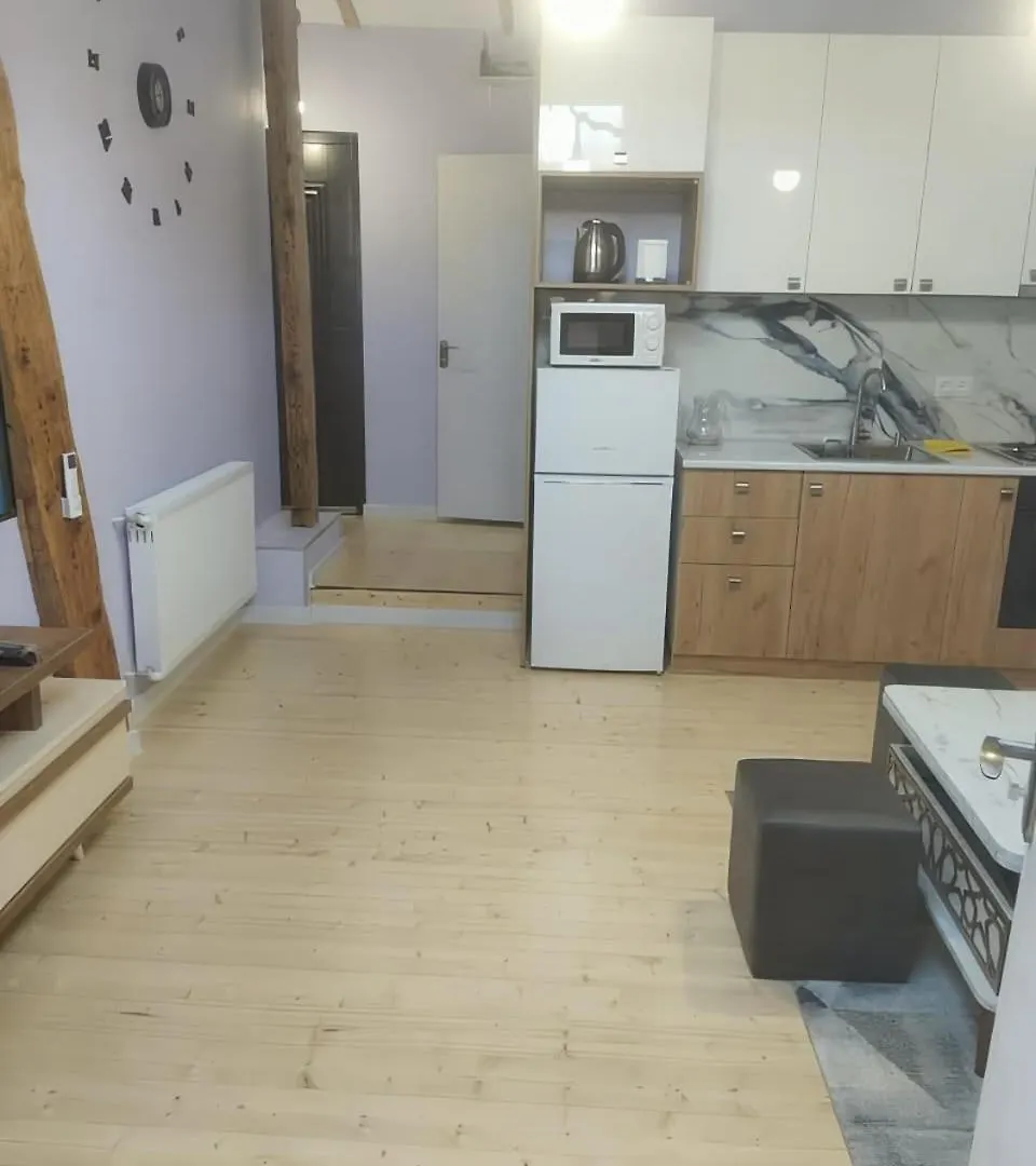 Apartment Lali 3 ティビリシ