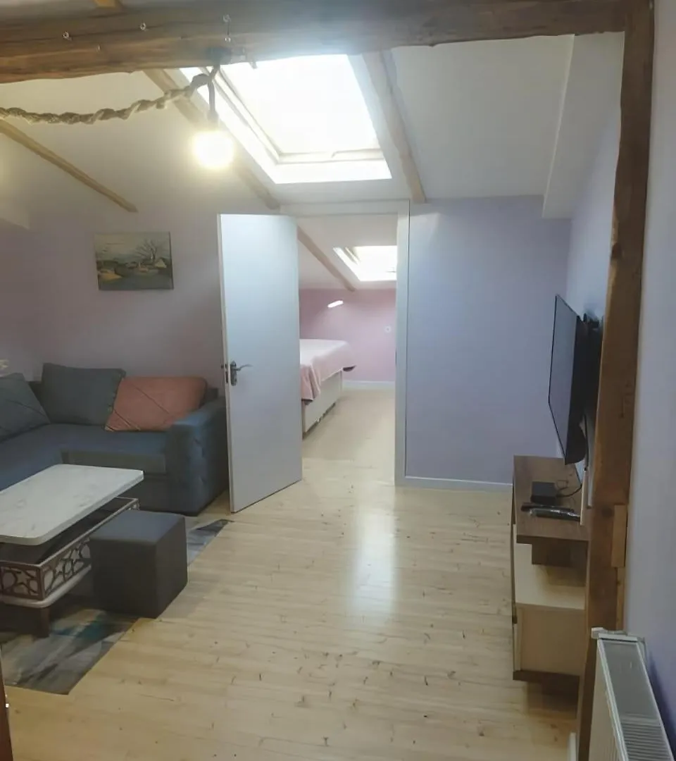 Apartment Lali 3 ティビリシ