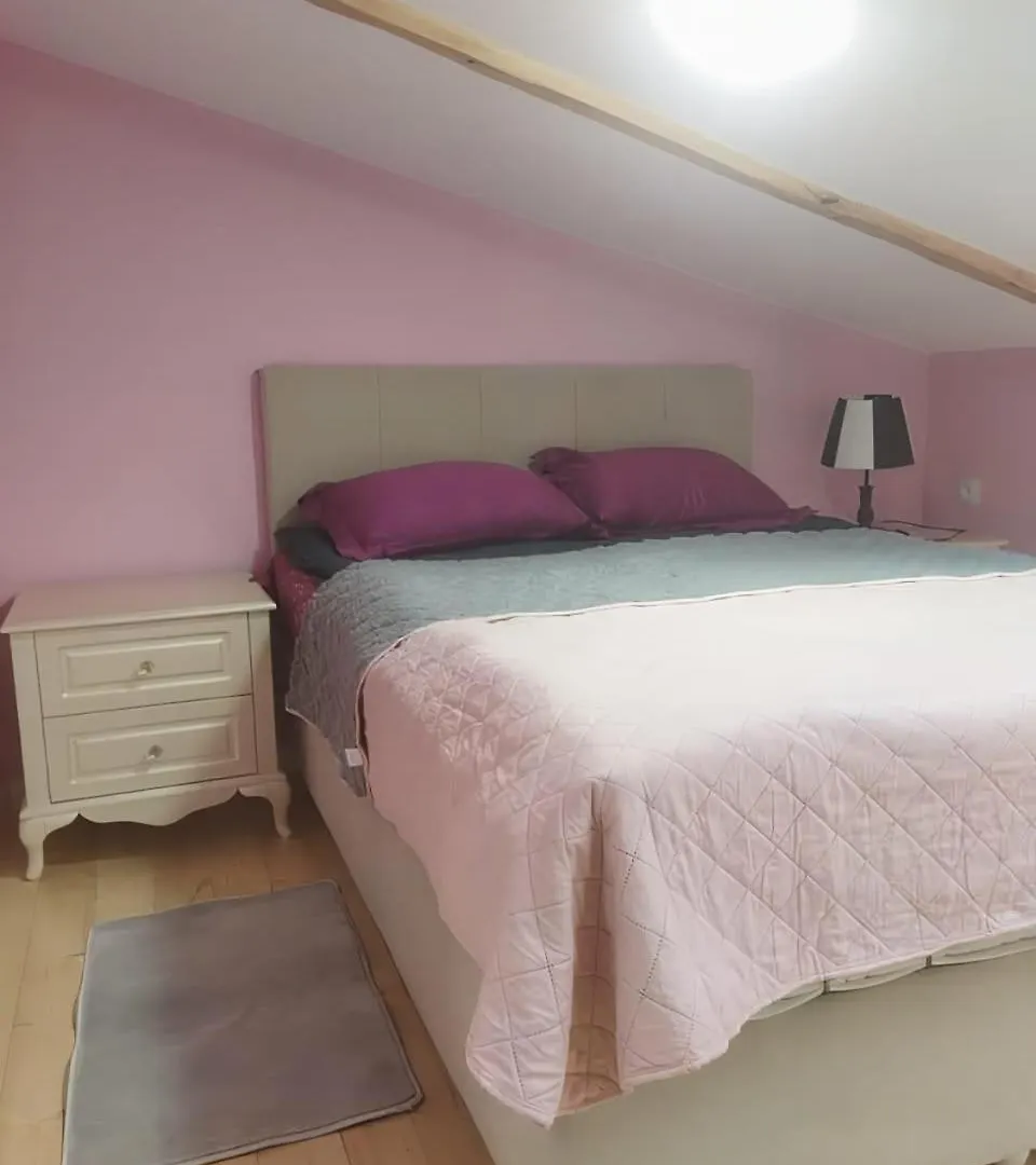 Apartment Lali 3 ティビリシ